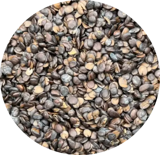 Locust Bean (Iru)