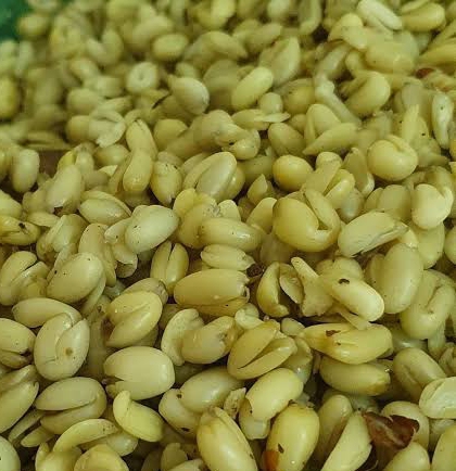 Breadfruit (dry)