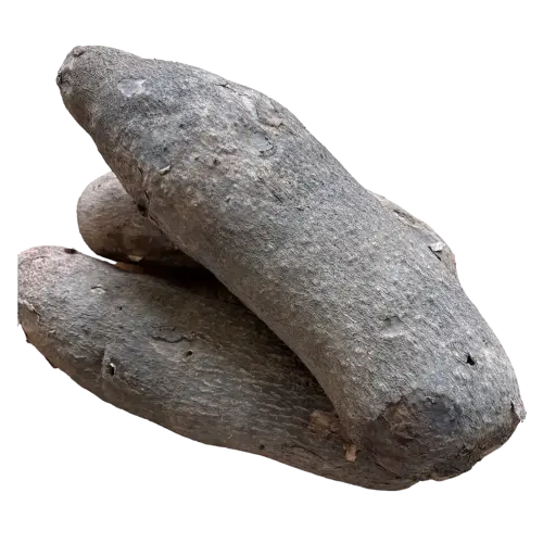 [fresh_ghana_yam_tubers] Fresh Ghana Yam Tubers - 1lb