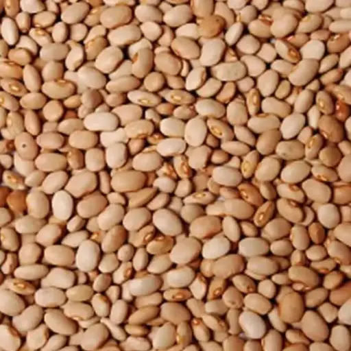 [honey_beans_(oloyin)_5lb] Honey Beans (Oloyin) 5lb